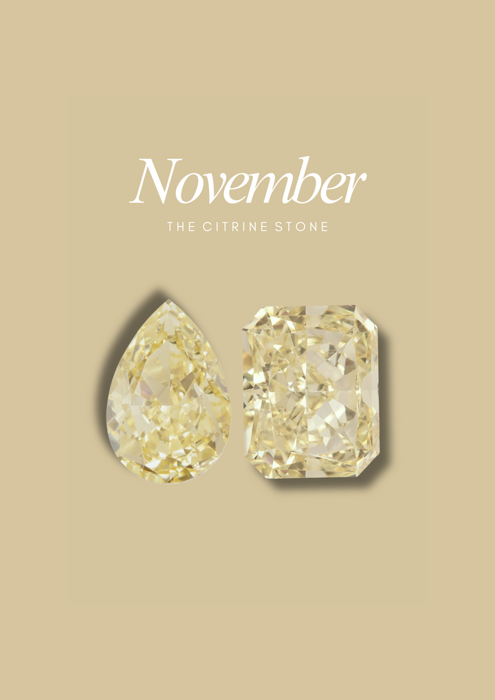 The "You & Me" Alara Birth Month Ring