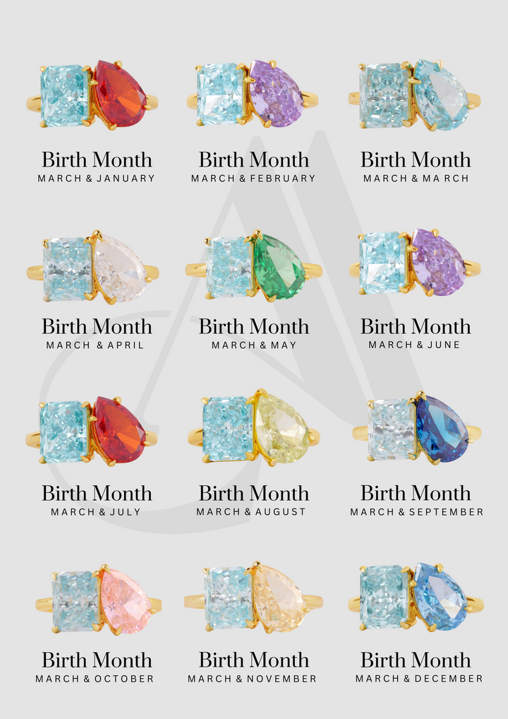 The "You & Me" Alara Birth Month Ring