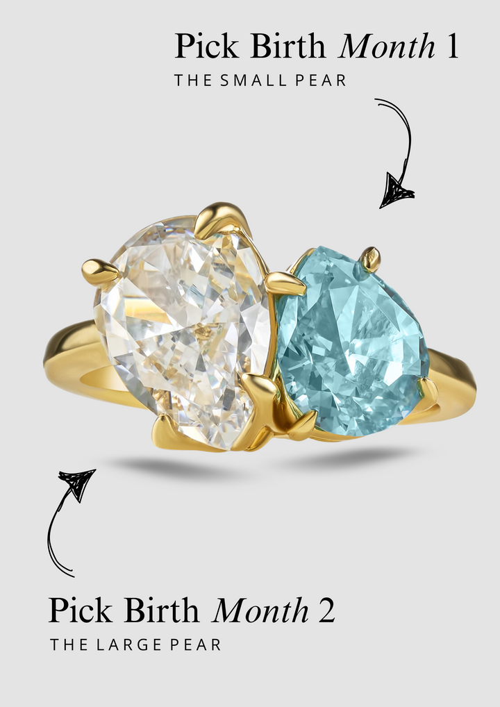 The "You & Me" Leonella Birth Month Ring