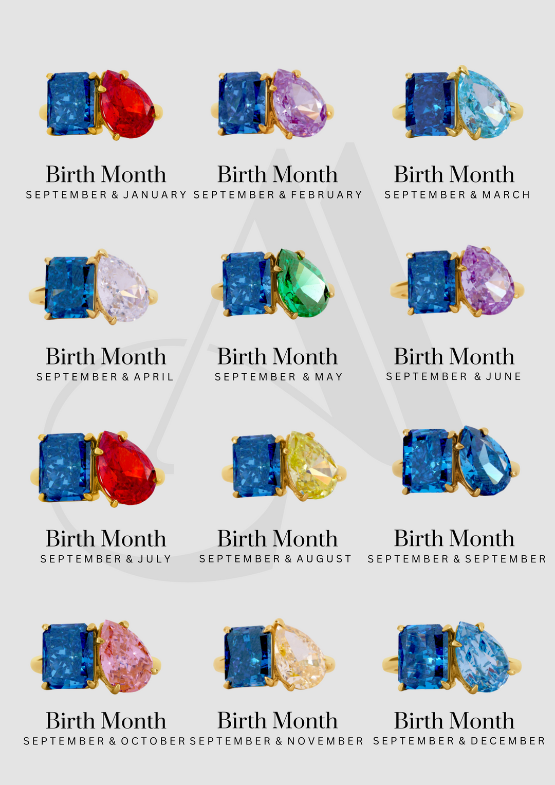 The "You & Me" Alara Birth Month Ring
